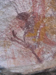 小さな紫のワラビー